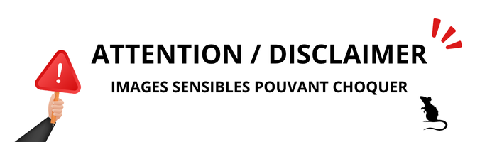 attention images qui suivent peuvent choquer, rats morts, dératisation