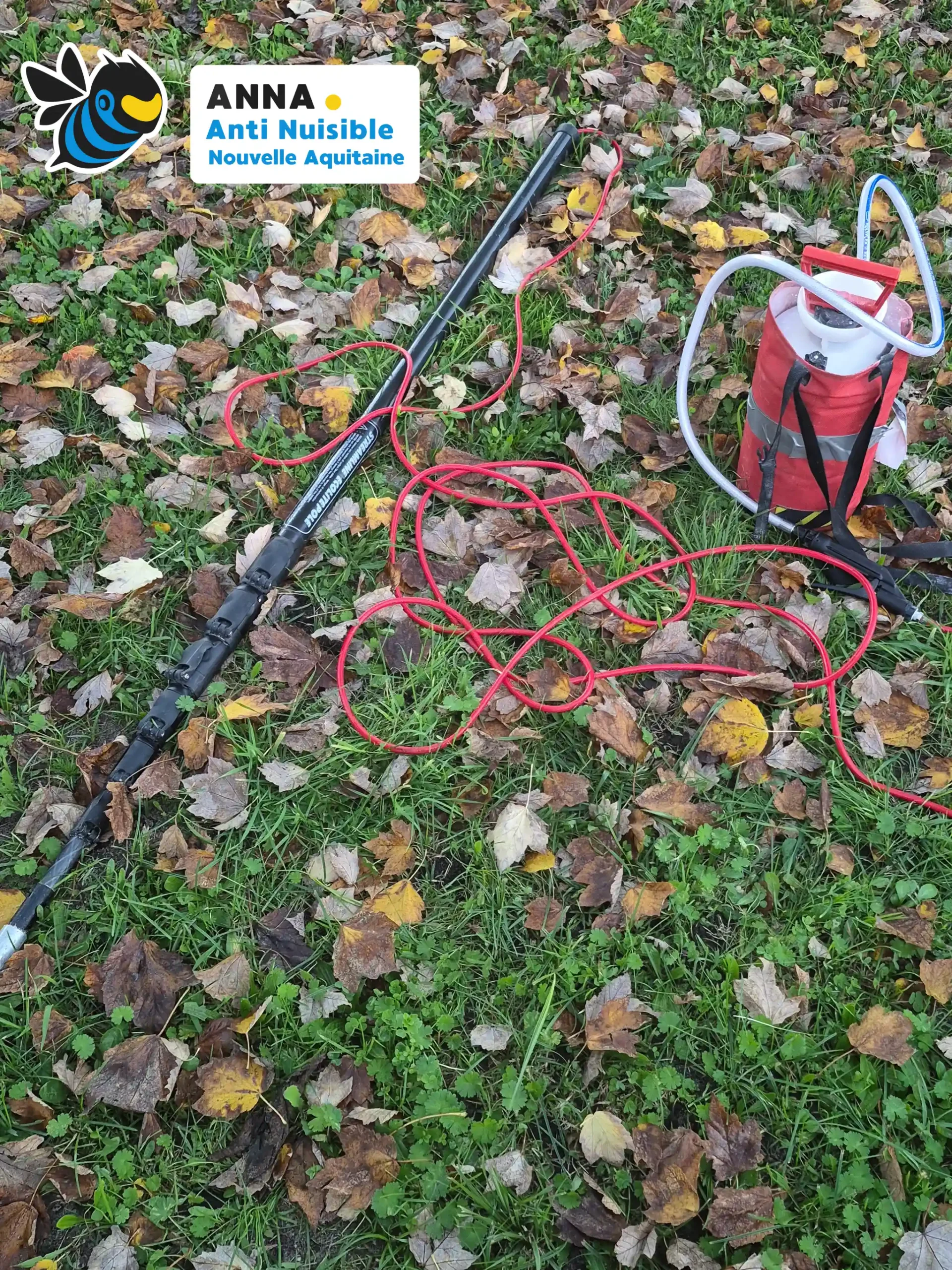 Technicien utilisant une perche télescopique pour injecter de la poudre dans un nid de frelons.