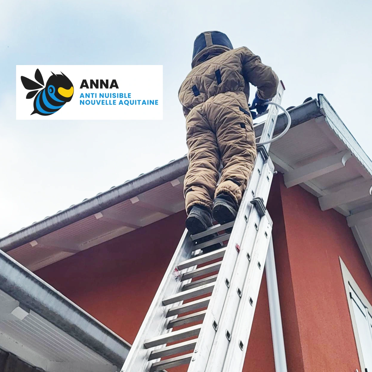 Technicien ANNA Anti-Nuisible en tenue de protection pour destruction nid de guêpes en Gironde