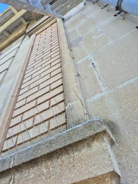 Pics à pigeons posés sur un bâtiment bordelais