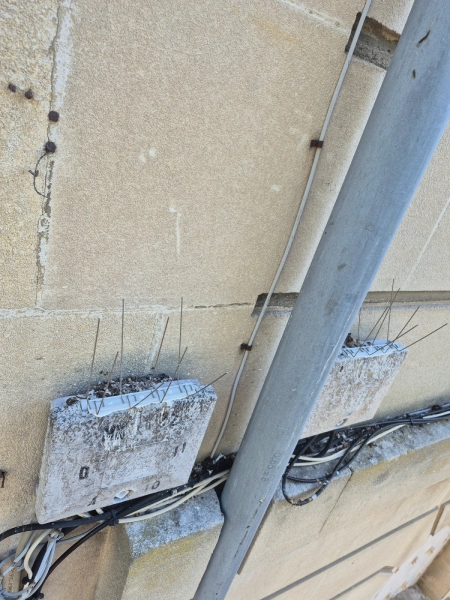 Pics anti-pigeons posés sur une façade en pierre à Bordeaux